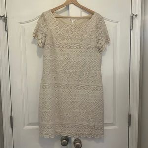 lace dress